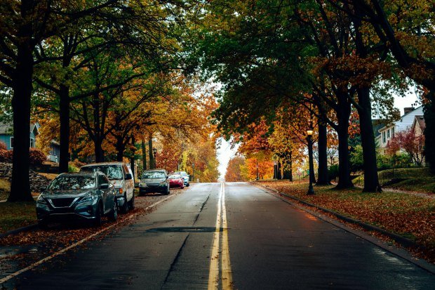 A serene street scene with vibrant autumn foliage and parked cars.