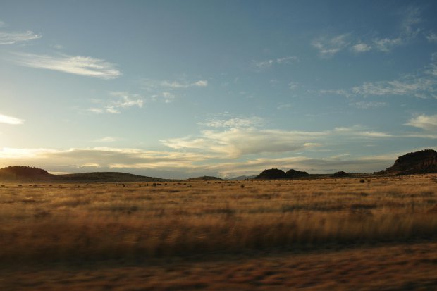 Serene golden landscape of Valentine, Texas capturing the open savannah during sunset.